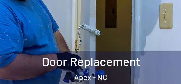  Door Replacement Apex - NC