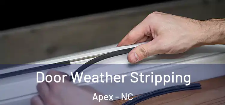 Door Weather Stripping Apex - NC