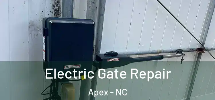 Electric Gate Repair Apex - NC