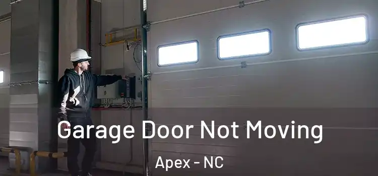  Garage Door Not Moving Apex - NC