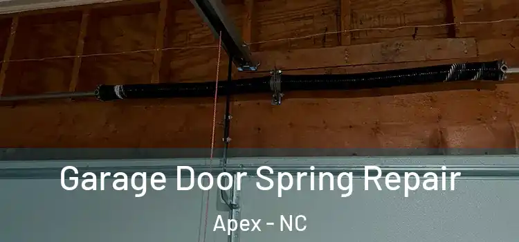  Garage Door Spring Repair Apex - NC