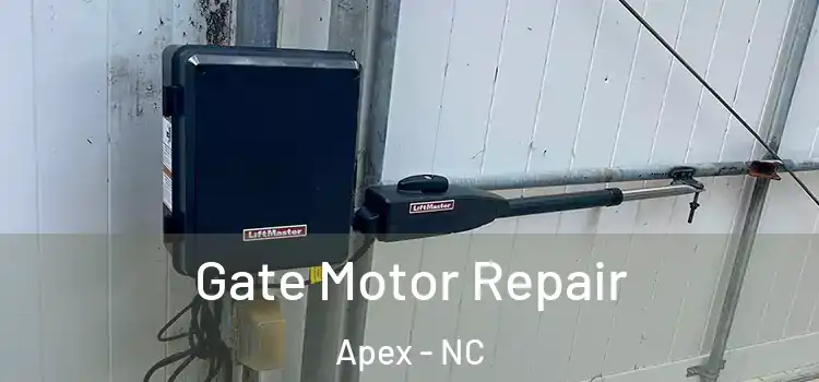 Gate Motor Repair Apex - NC