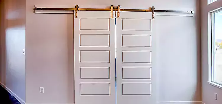 Glass Barn Door with Installation Hardware Kit Apex