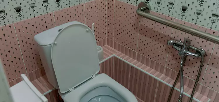 Meeting Diverse Needs With Accessible Restroom Solutions in Apex, NC
