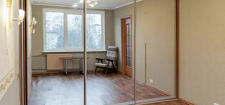 Mirror Closet Door Roller Replacement Apex